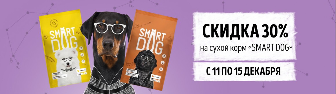 /smart-dog
