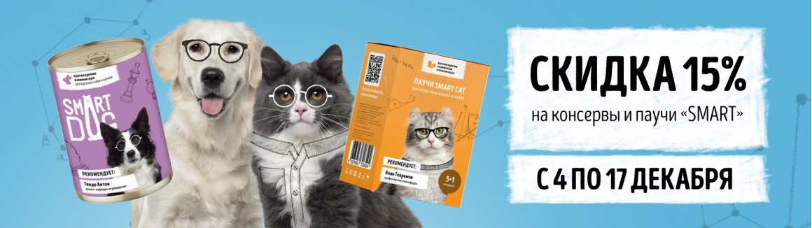 /smart-cat