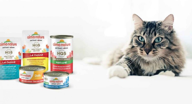 Обзор влажных кормов для кошек Almo Nature: какие консервы выбрать