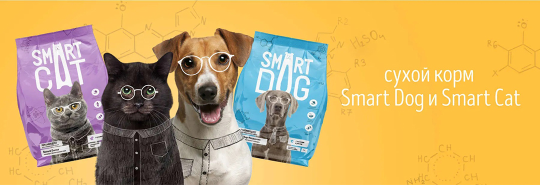Smart Dog