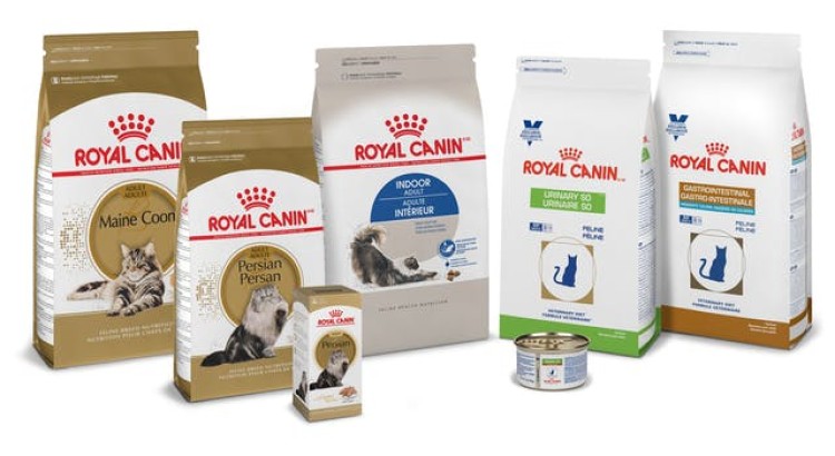 Виды и состав кормов для кошек Royal Canin