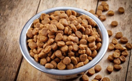 Как правильно переводить свою кошку на сухой корм