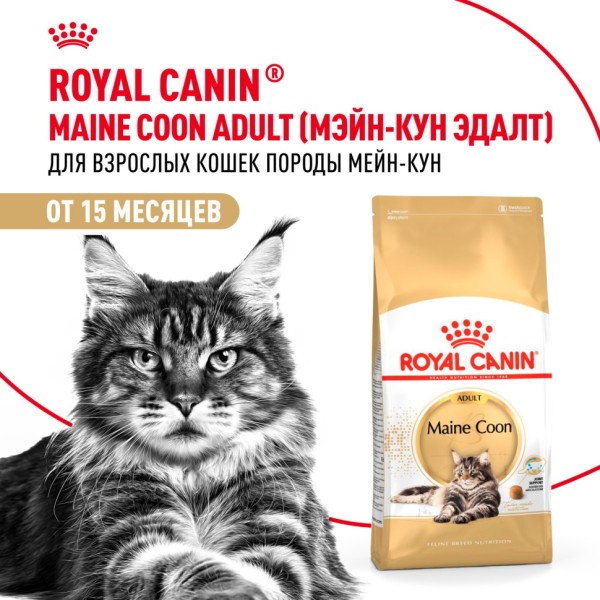 Royal Canin Maine Coon Adult сухой сбалансированный корм для взрослых кошек породы Мэйн Кун - 4 кг