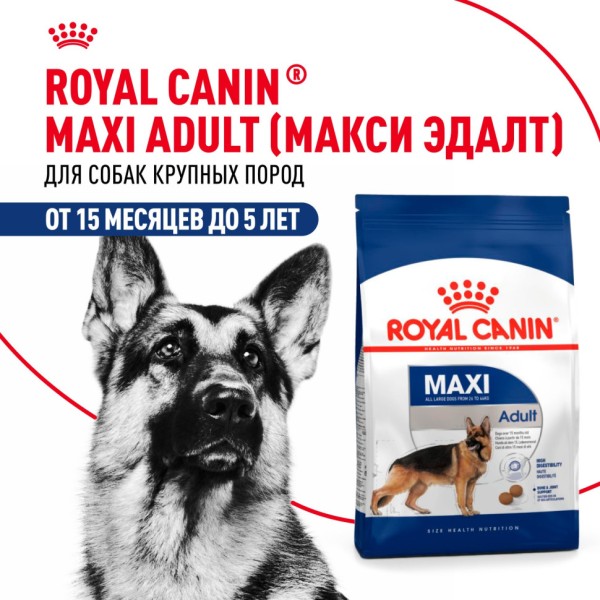 Royal Canin Maxi Adult сухой корм для взрослых собак крупных размеров от 15 месяцев до 5 лет - 15 кг