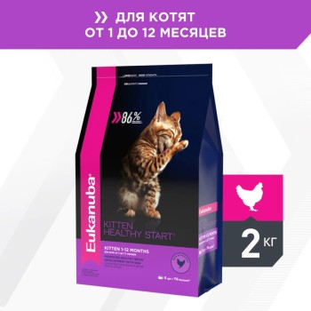 Сухой корм Eukanuba Kitten Healthy Start для котят, беременных и кормящих кошек с курицей...