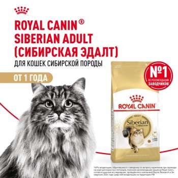 Royal Canin Siberian Adult сухой корм для взрослых кошек сибирской породы - 2 кг