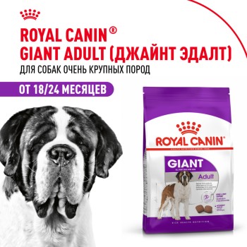 Royal Canin Giant Adult корм для собак гигантских пород старше 18/24 месяцев - 4...