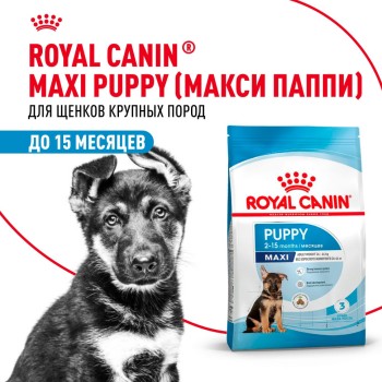 Royal Canin Maxi Puppy сухой корм для щенков крупных пород в возрасте до 15...