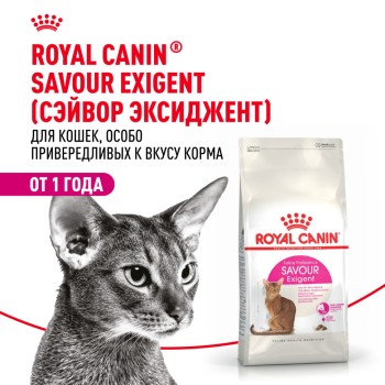 Royal Canin Savour Exigent сухой корм для взрослых привередливых кошек - 2 кг