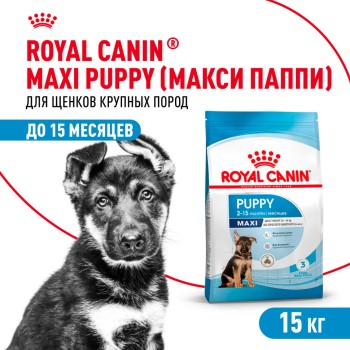 Royal Canin Maxi Puppy сухой корм для щенков крупных пород в возрасте до 15...