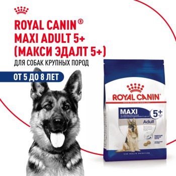 Royal Canin Maxi Adult 5+ для взрослых собак крупных размеров в возрасте от 5...