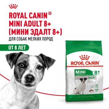 Royal Canin Mini Adult 8+ сухой корм для пожилых собак мелких пород старше 8...