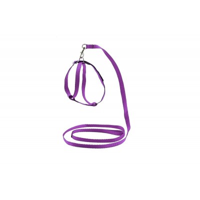 Комплект синтетический поводок и шлейка, 12 мм х 1,2 м, 12 мм х 25 см Дарэлл Leash and Harness Set фиолетовый