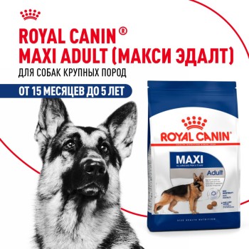 Royal Canin Maxi Adult сухой корм для взрослых собак крупных размеров от 15 месяцев...