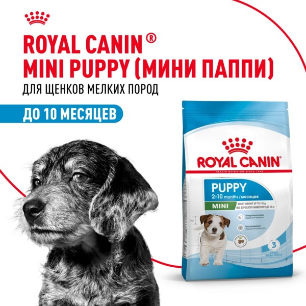Royal Canin Mini Puppy сухой корм для щенков мелких пород в возрасте до 10 месяцев - 2 кг