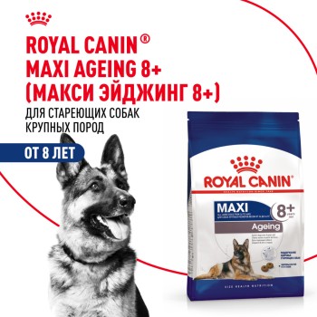 Royal Canin Maxi Ageing 8+ корм для стареющих собак крупных размеров в возрасте старше...