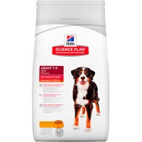 Adult Advanced Fitness Large Breed Chiken