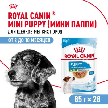 Royal Canin Mini Puppy влажный корм для щенков мелких пород в возрасте до 10...