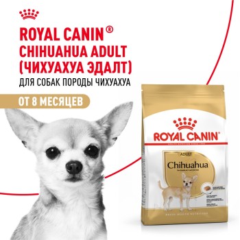 Royal Canin Chihuahua Adult сухой корм для взрослых собак породы чихуахуа - 3 кг