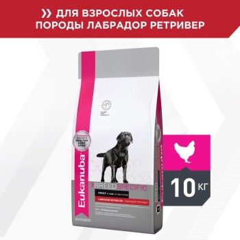 Сухой корм Eukanuba Dog Adult Labrador Retriever для собак породы лабрадор-ретривер - 10 кг