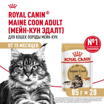Royal Canin Maine Coon Adult влажный корм для взрослых кошек породы Мэйн Кун в...