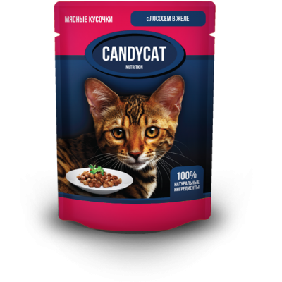 Паучи для кошек кусочки "Лосось" в желе Gina CandyCat Salmon & Jelly 85 г