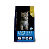 Matisse Kitten New
