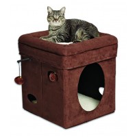 Currious Cat Cube