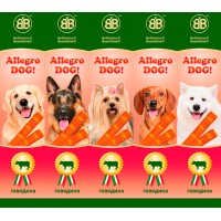 Allegro Dog