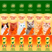 Allegro Cat
