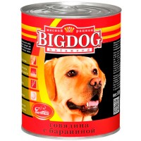 Big Dog