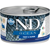 N&D Dog Ocean