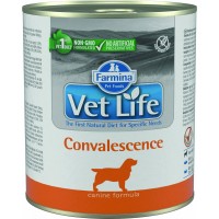 Vet Life Natural Diet Dog Convalescence