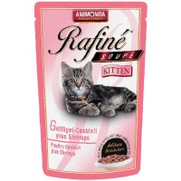 Rafin & Soup & Kitten