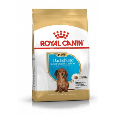 Корм для щенков Таксы до 10 мес Royal Canin Dachshund Puppy 30 1,5 кг