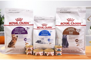 Разновидности консервов для кошек Royal Canin: что выбрать хозяину