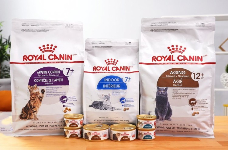 Разновидности консервов для кошек Royal Canin: что выбрать хозяину
