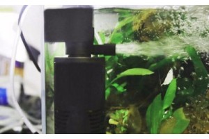 Какой фильтр нужен для аквариума на 100 литров? Рейтинг лучших внешних и внутренних моделей