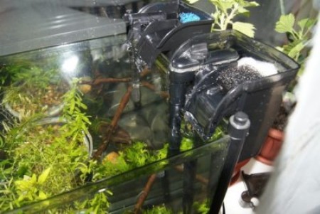 Чем хороши навесные фильтры для аквариума?