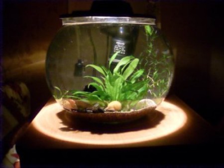 Топ-5 лучших производителей фильтров для круглого аквариума