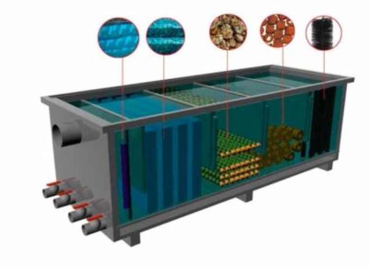 Что такое биофильтр для аквариума и зачем он нужен? Как сделать своими руками?