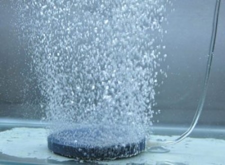 Что такое аэрация воды в аквариуме и зачем она нужна?