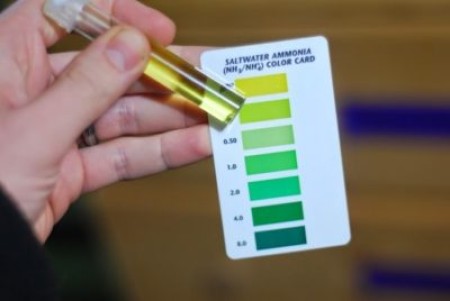 Основные параметры воды в аквариуме