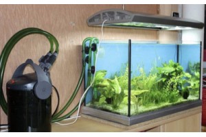 Стоит ли покупать внешний фильтр для аквариума? Описание устройства