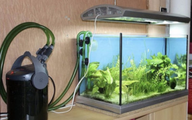 Нужен фильтр для аквариума на 200 литров? Узнайте все о выборе и лучших внешних и внутренних фильтрующих устройствах