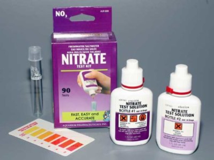 Что такое нитраты в аквариуме и зачем они нужны?