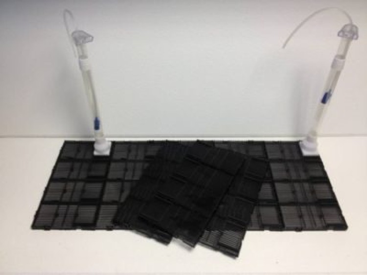 Все о донном фильтре: чистый аквариум без лишнего оборудования