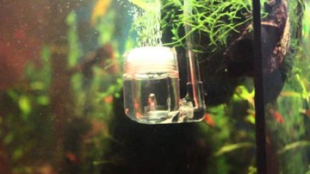 Что такое CO2 для аквариума?