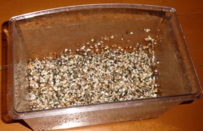 Как подобрать и подготовить песок для аквариума
