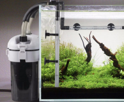 Как выбрать внешний фильтр для аквариума и как за ним ухаживать